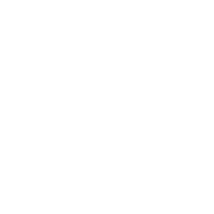 10021